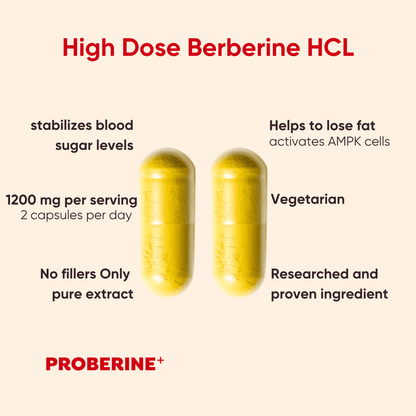 Proberine+ - ProBerine+